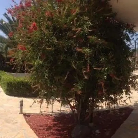 Studio-appartement In Magoula Mit Grill Und Garten アパート *