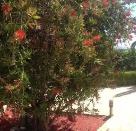 Studio-appartement In Magoula Mit Grill Und Garten Eretria (Evia)
